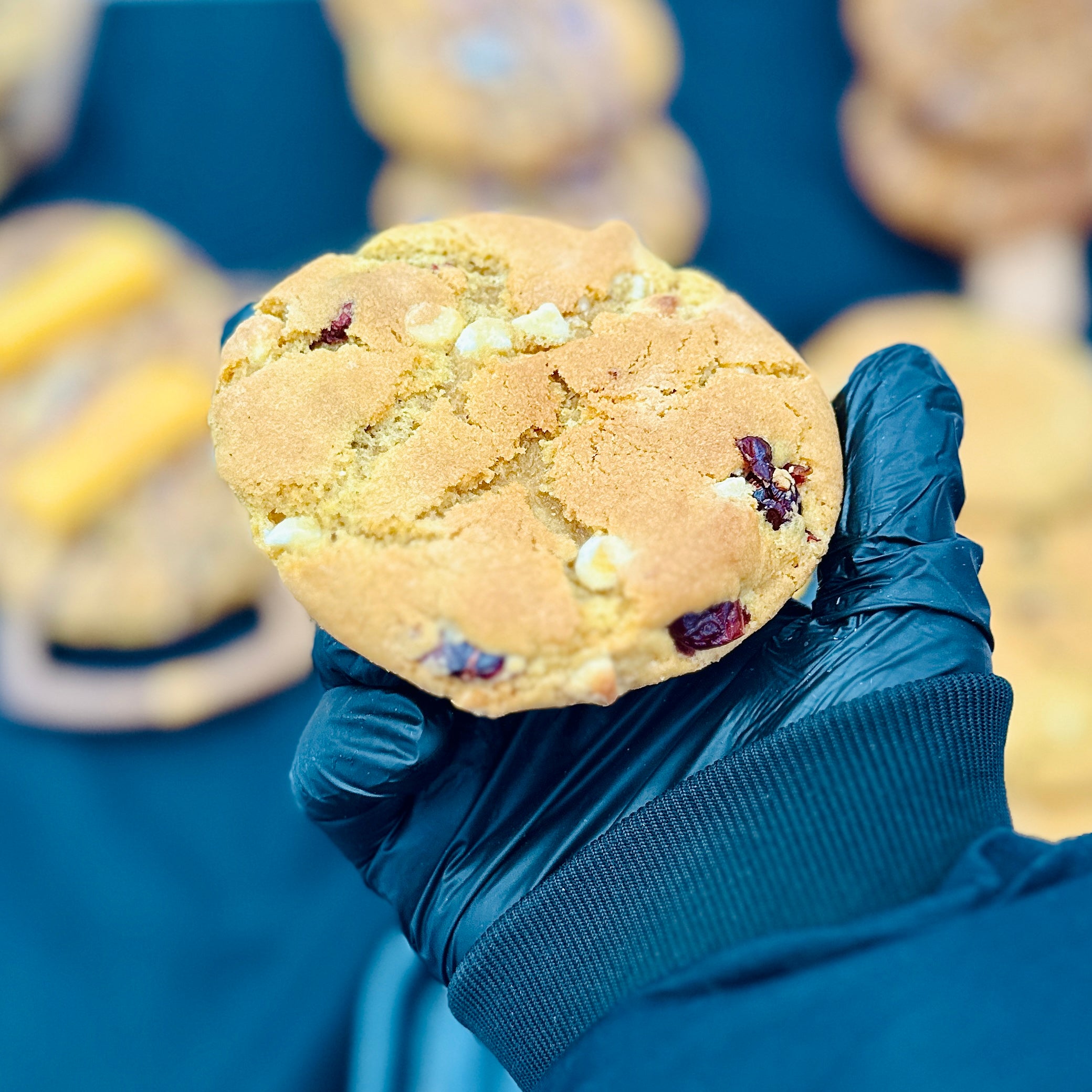 White Chocolate Cranberry Cookie